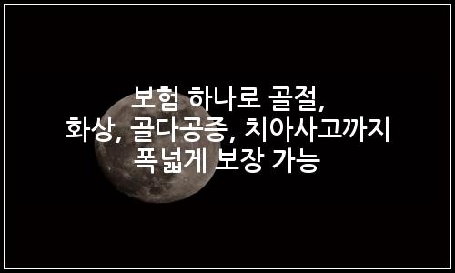 오늘의 이미지