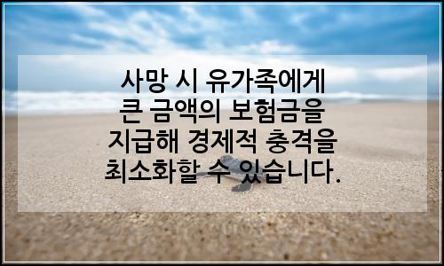 오늘의 이미지