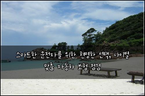  스마트한 운전자를 위한 현명한 선택, 나이별 맞춤 자동차 보험 점검