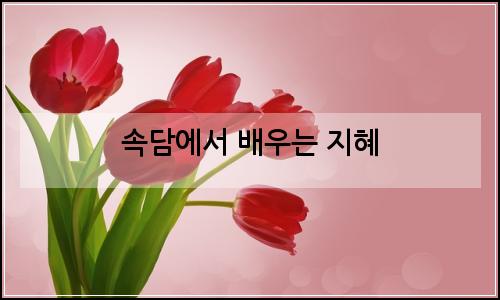 오늘의 이미지