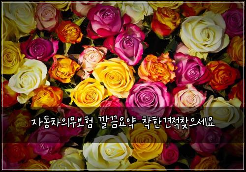 자동차의무보험 깔끔요약  착한견적찾으세요