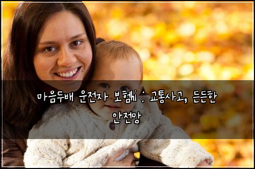 마음두배 운전자 보험hi : 교통사고, 든든한 안전망