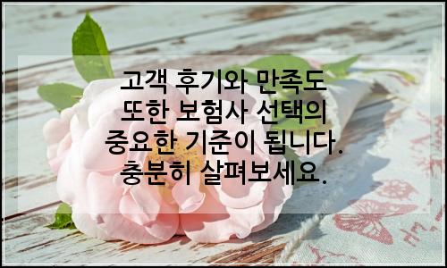 오늘의 이미지