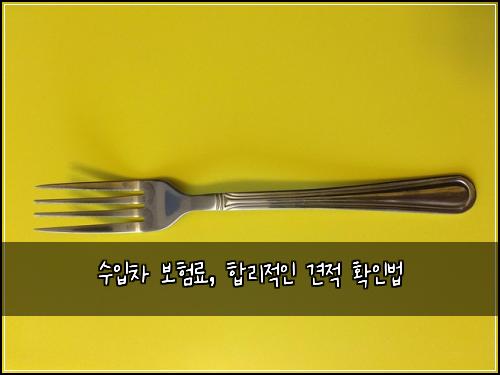 수입차 보험료, 합리적인 견적 확인법
