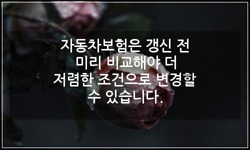 오늘의 이미지