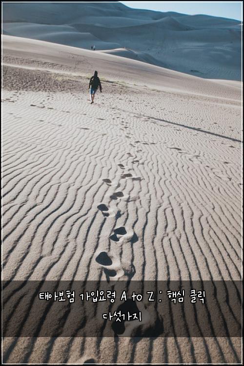 태아보험 가입요령 A to Z : 핵심 클릭 다섯가지