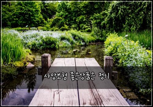 사망보험 좋은상품은  정기