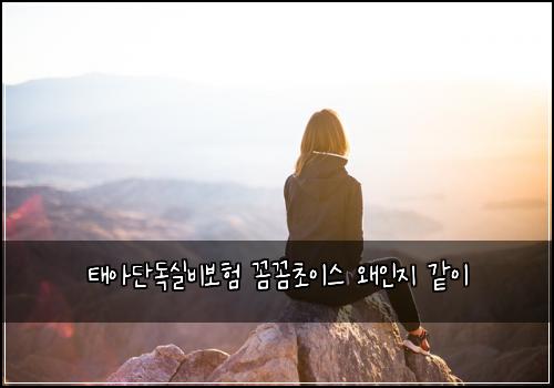 태아단독실비보험 꼼꼼초이스  왜인지 같이