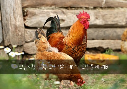 토익 시험 계획 토익 점수 계산 : 토익 문제 #113