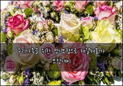 우리가족을 위한 정기보험으로 해결해볼까 보장대비