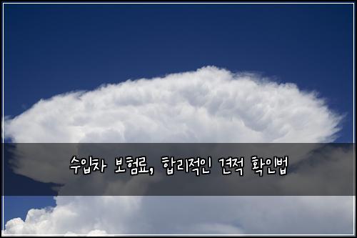 수입차 보험료, 합리적인 견적 확인법
