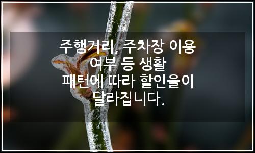 오늘의 이미지