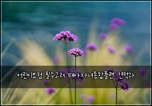 어린이보험 필수고려  태아자녀종합플랜 견적과