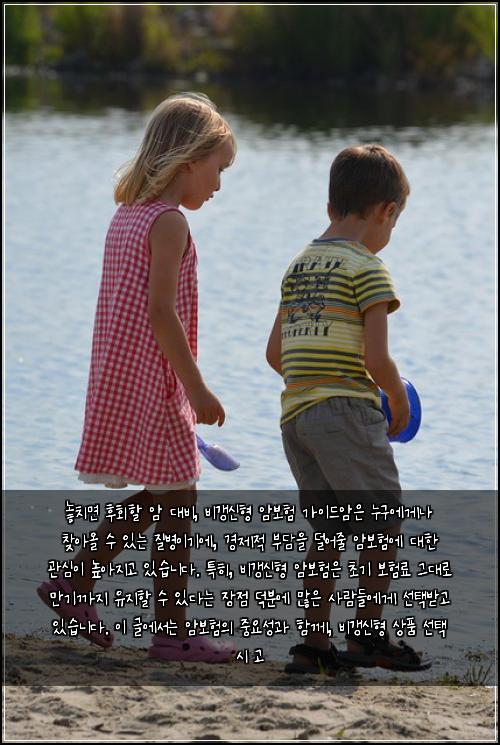  놓치면 후회할 암 대비, 비갱신형 암보험 가이드

암은 누구에게나 찾아올 수 있는 질병이기에, 경제적 부담을 덜어줄 암보험에 대한 관심이 높아지고 있습니다. 특히, 비갱신형 암보험은 초기 보험료 그대로 만기까지 유지할 수 있다는 장점 덕분에 많은 사람들에게 선택받고 있습니다. 이 글에서는 암보험의 중요성과 함께, 비갱신형 상품 선택 시 고
