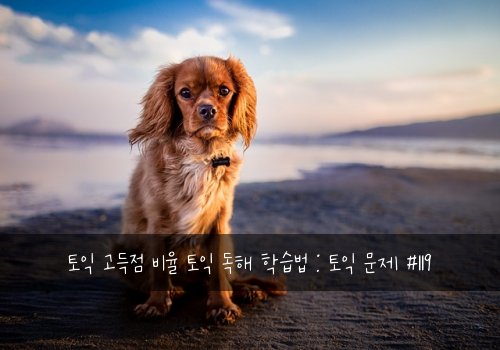 토익 고득점 비율 토익 독해 학습법 : 토익 문제 #119