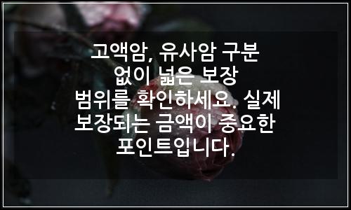 오늘의 이미지