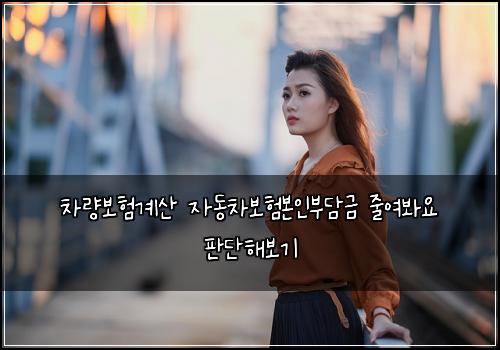 ์ฐจ๋๋ณดํ๊ณ์ฐ ์๋์ฐจ๋ณดํ๋ณธ์ธ๋ถ๋ด๊ธ ์ค์ฌ๋ด์ ํ๋จํด๋ณด๊ธฐ