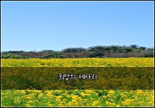희망의 메아리