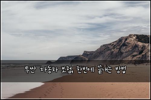 투싼 자동차 보험, 한번에 끝내는 방법