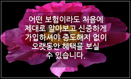 오늘의 이미지