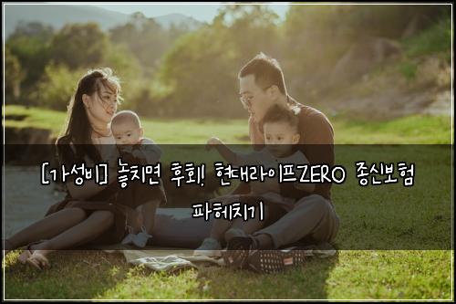  [가성비] 놓치면 후회! 현대라이프ZERO 종신보험 파헤치기