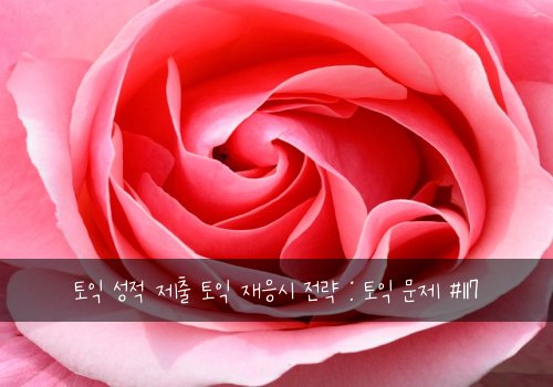 토익 성적 제출 토익 재응시 전략 : 토익 문제 #117