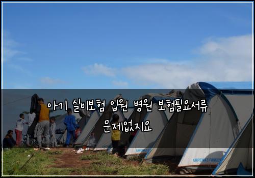 아기 실비보험 입원 병원 보험필요서류 문제없지요