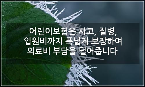 오늘의 이미지