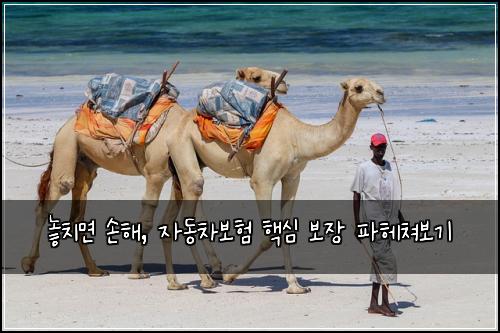  놓치면 손해, 자동차보험 핵심 보장 파헤쳐보기