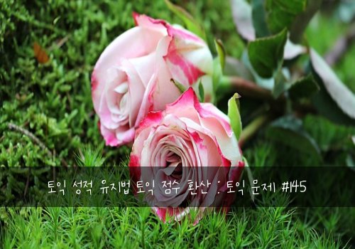 토익 성적 유지법 토익 점수 환산 : 토익 문제 #145