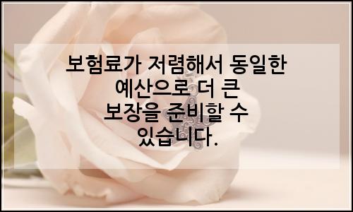 오늘의 이미지