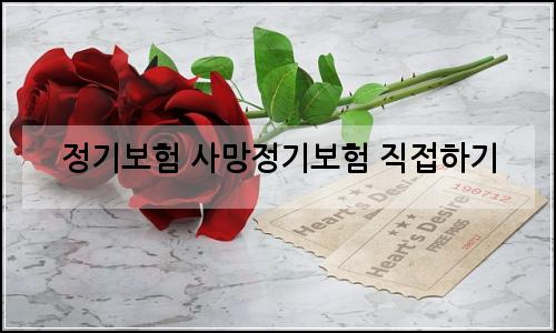 오늘의 이미지