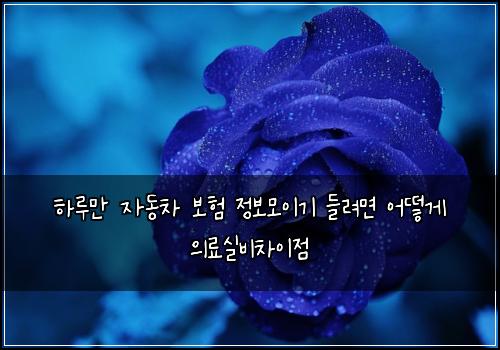 νλ£¨λ§ μλμ°¨ 보ν μ 보λͺ¨μ΄κΈ° λ€λ €λ©΄ μ΄λ»κ² μλ£μ€λΉμ°¨μ΄μ 