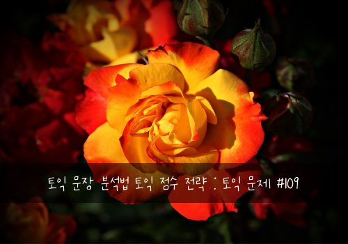 토익 문장 분석법 토익 점수 전략 : 토익 문제 #109