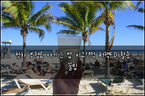 첫차 보험료 아끼는 법: 비교견적 퍼팩트D 활용 꿀팁