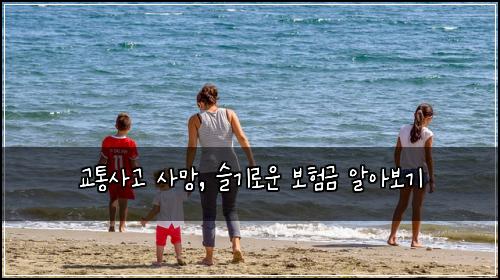  교통사고 사망, 슬기로운 보험금 알아보기