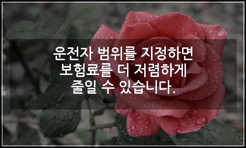오늘의 이미지