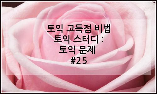 오늘의 이미지