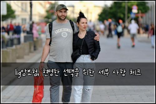 lig암보험, 현명한 선택을 위한 세부 사항 체크