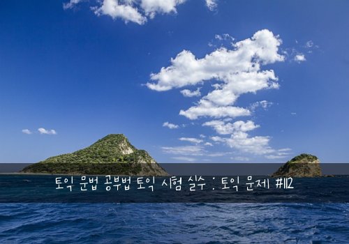 토익 문법 공부법 토익 시험 실수 : 토익 문제 #112