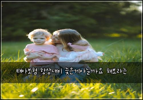 태아보험 항상대비  늦은게아닐까요 해보라는