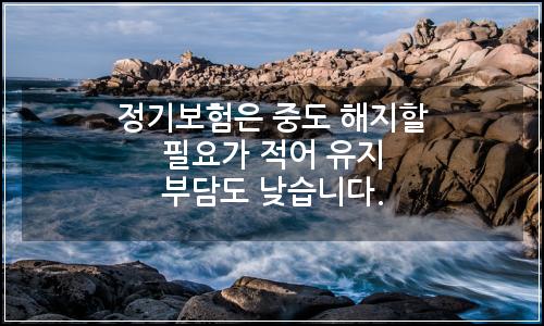 오늘의 이미지