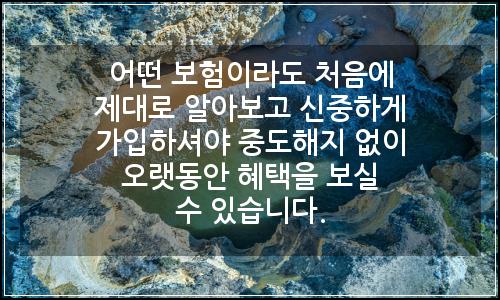 오늘의 이미지