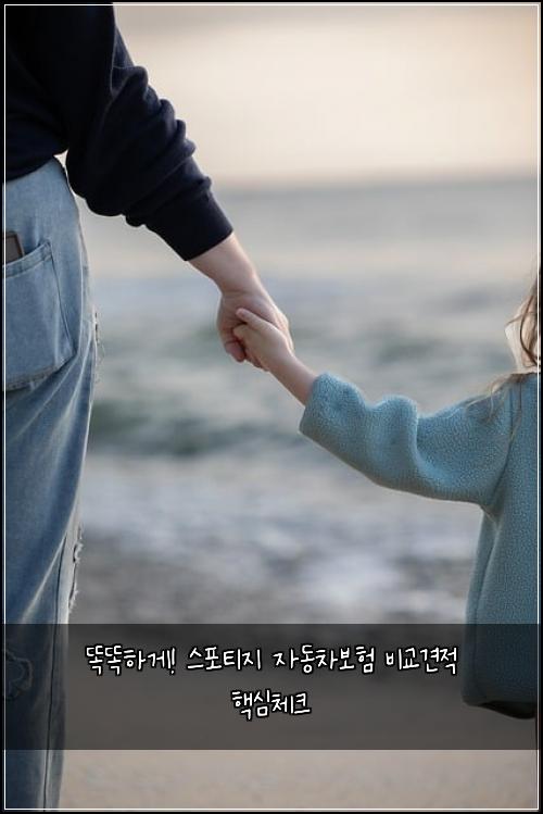  똑똑하게! 스포티지 자동차보험 비교견적 핵심체크