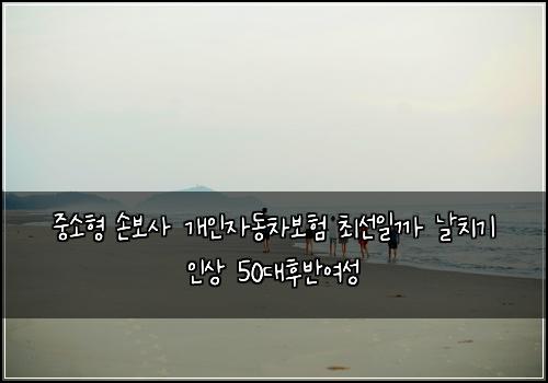 중소형 손보사 개인자동차보험 최선일까  날치기 인상 50대후반여성