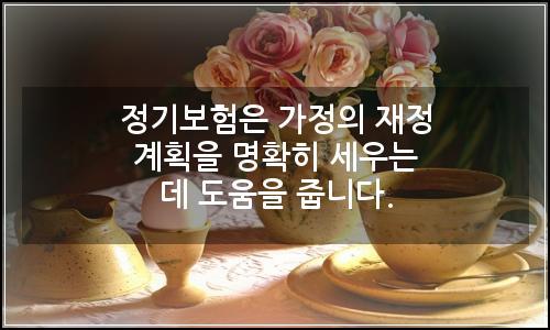 오늘의 이미지