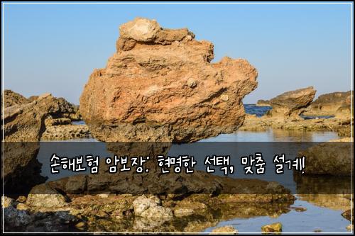 손해보험 암보장: 현명한 선택, 맞춤 설계!