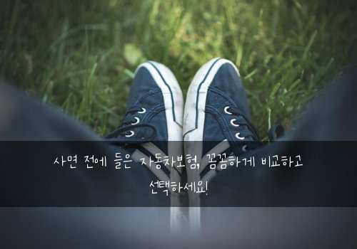 사면 전에 들은 자동차보험, 꼼꼼하게 비교하고 선택하세요!
