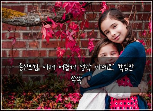  종신보험, 이제 어렵게 생각 마세요: 핵심만 쏙쏙