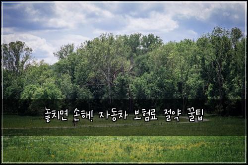  놓치면 손해! 자동차 보험료 절약 꿀팁
